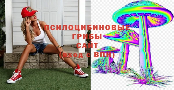 spice Баксан