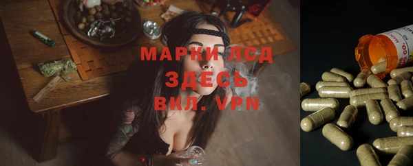 spice Баксан