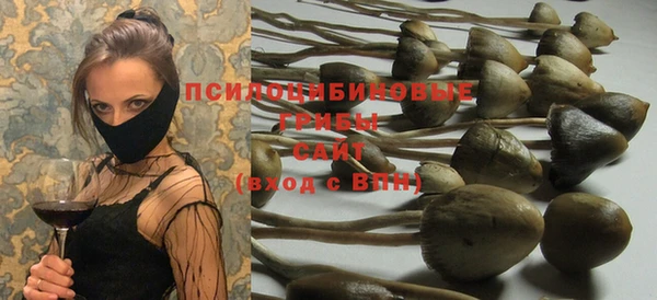 трава Ахтубинск